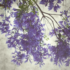  old paper background