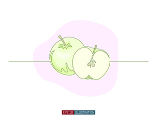 Continuous line drawing of apple. Template for your design. Vector illustration.