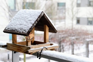 Wooden bird feeder with 