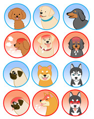 犬のいろいろな表情 犬種の顔