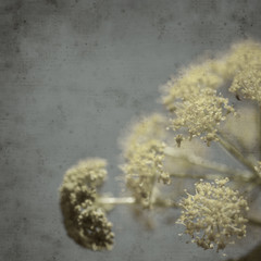  old paper background