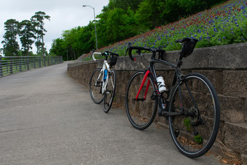 Road Bikes On A Trail of Texas bluebonnet flowers during spring Houston Texas