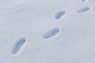 Footprints in the snow. Shoeprints in the fresh snow. Track in snow. Free copy space, natural winter background
