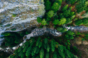 Creek winding through cliffs and forests seen from a drone