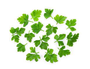 Green coriander leaves close-up, isolation on a white background. top view