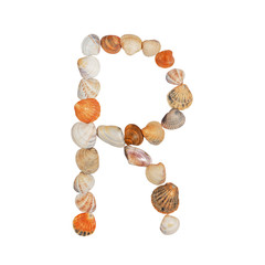 letters of the English alphabet, made of seashells