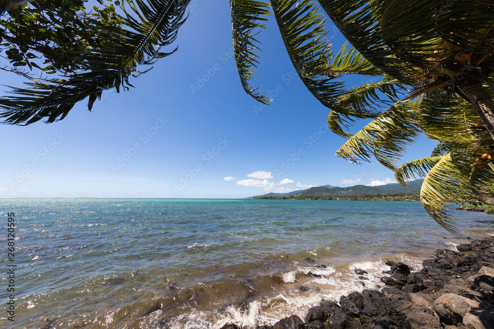 Wall mural vibrant tropical beach on samoa island with coconut palm trees and black rocks