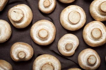Mushrooms close up