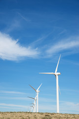 Fototapeta premium Wind energy concept