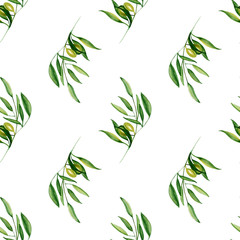 Watercolor olive branch seamless pattern on white background.