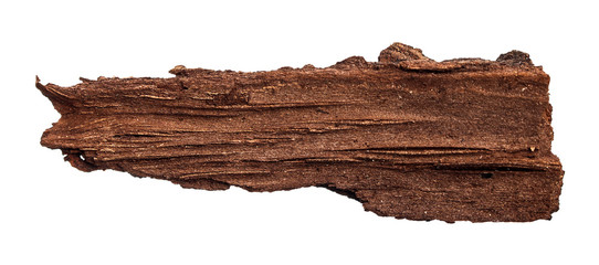 a thin piece of bark on an isolated white background - obrazy, fototapety, plakaty