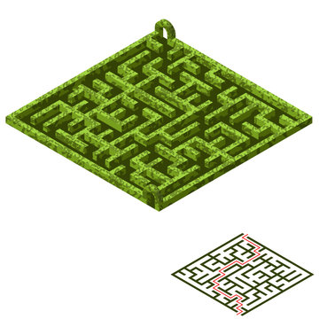 Maze game asset. Isometric garden maze with a solution