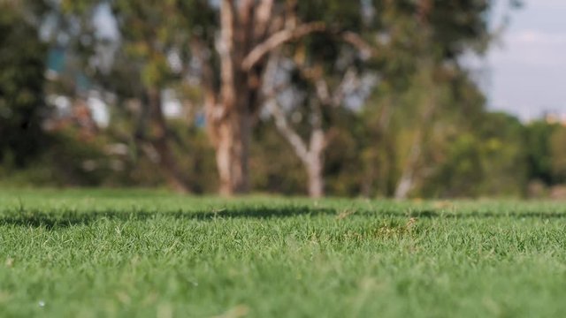 Golfer hitting the ball with iron down the course closeup slow motion