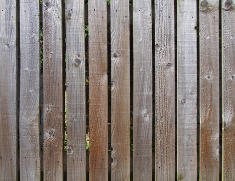 a row evenly spaced rough brown timber planks used as a garden fence