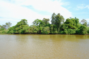 tropical island in the lake