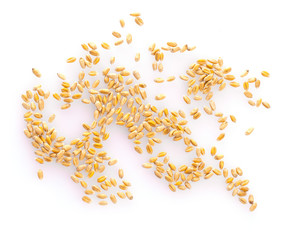 The wheat grains isolated on white background. top view