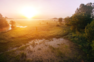 Fantastic nature background. Farytale foggy fresh green grass and river in the sunlight. Colorful scenery. Beauty world.
