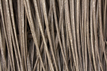 gray dry palm leaf closeup. vertical lines. natural surface texture