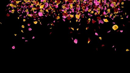 Romantic flying vibrant colorful red pink yellow rose flower petals transition St. Valentine's Day Mother's Day wedding anniversary greeting cards invitation birthday e-card 4k alpha channel isolated