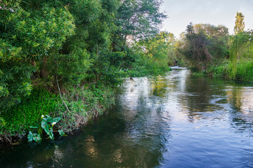 Umia river flowing