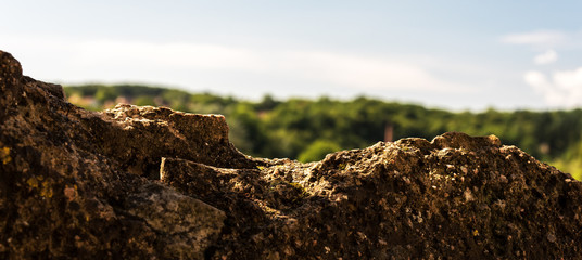 Natural landscape of a wall of rock with in the background the greenery of the forest