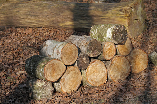 Holzstapel
