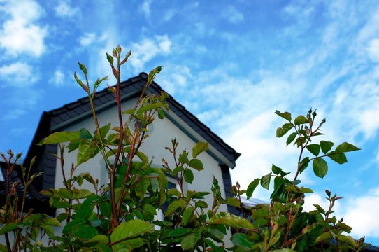 alte Gaupe am Haus