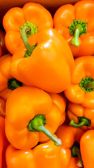 Closeup image of lots of red an orange bell peppers lying on counter in store