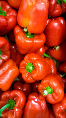 Closeup image of lots of red an orange bell peppers lying on counter in store