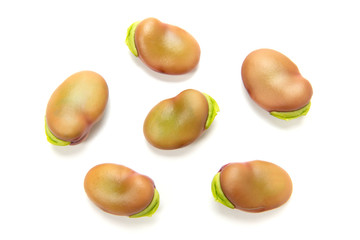 ピンクのそら豆