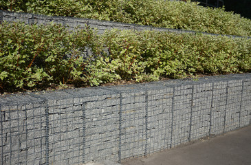 Modern gabion fence wall with stones in wire mesh in the garden design. Gabion wire mesh fencing with natural stones