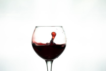 Red wine splash into glass on white background