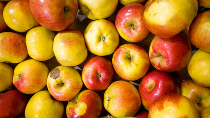Closeup image of lots of red and yellow apples on store counter. Closeup texture or pattern of fresh ripe fruits. Beautiful food background
