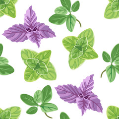Marjoram, oregano, basil seamless pattern on a white background. Vector illustration of fragrant herbs in cartoon flat style.