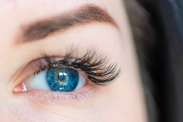 Blue eyes. Close up of a woman's eye. Eyelash extensions.