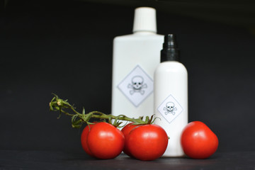 Concept for usage of dangerous pesticides in agricultural food products with red tomatoes in...