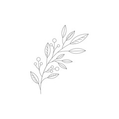 Leaf  Vector Illustration Design