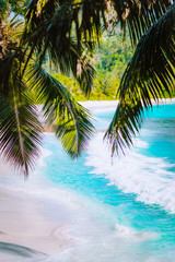 Fototapeta na wymiar Palm tree leaves on beautiful tropical paradise Anse intendance beach. Ocean wave roll on sandy beach with coconut palm trees. Mahe, Seychelles