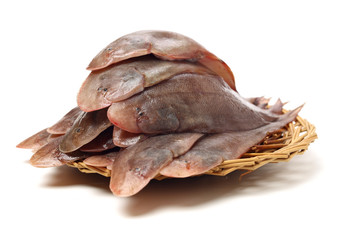 Sole fish on white background