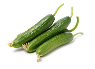 Lebanese Cucumber isolated on white background