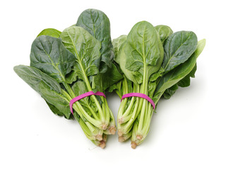 Spinach on a white background