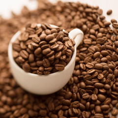 コーヒーカップに入ったコーヒー豆