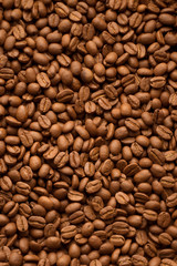 Fototapeta premium コーヒー豆