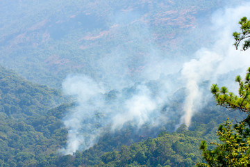 Forest fire off The day in Southeast Asia