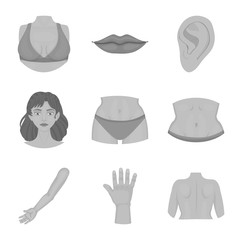 Vector design of body and part sign. Set of body and anatomy vector icon for stock.