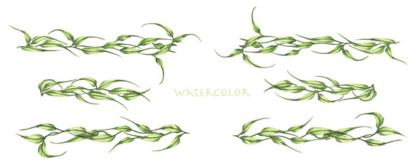 Green leaves and branches set. Line borders, laurels and text divider. Watercolor illustration.