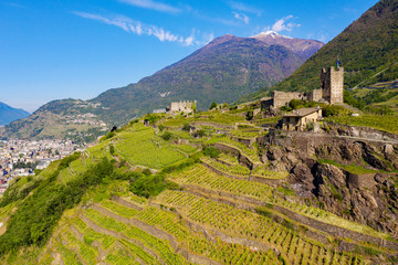 Valtellina (IT) - Vigneti del Grumello nei pressi di Sondrio 