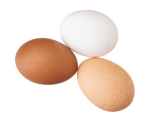 Three chicken, hens eggs isolated on white. Different colors: brown white and speckled.