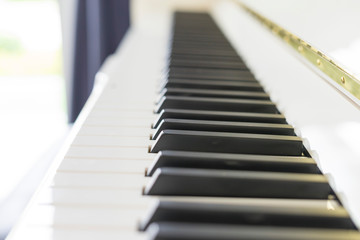 Side view of piano keys. Close-up of piano keys. 