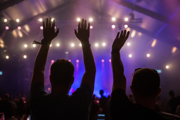 Fans enjoying a music festival